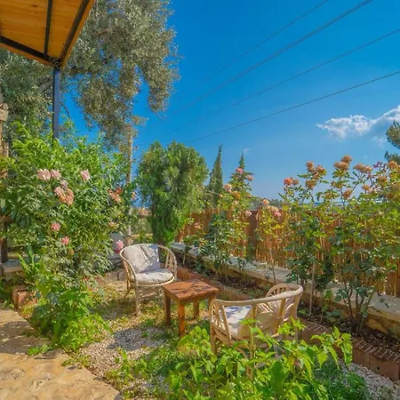 Villa 1 Bedroom 1566 *