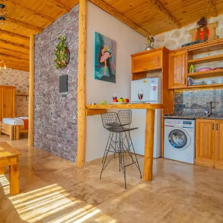 1 Bedroom With Private Pool * Kalkan